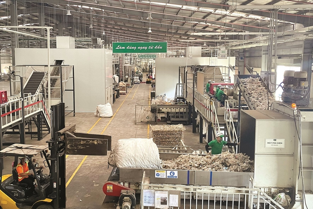 Các doanh nghiệp có thể lựa chọn đóng tiền hoặc tổ chức tái chế bao bì, sản phẩm. Ảnh: Phạm Oanh.