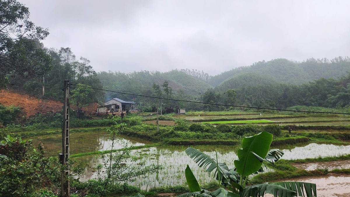 Thôn Nước Đừng có 43 hộ dân với khoảng 300 nhân khẩu sống thưa thớt. Ảnh: Nguyễn Thành. Thôn Nước Đừng có 43 hộ dân với khoảng 300 nhân khẩu sống thưa thớt. Ảnh: Nguyễn Thành.