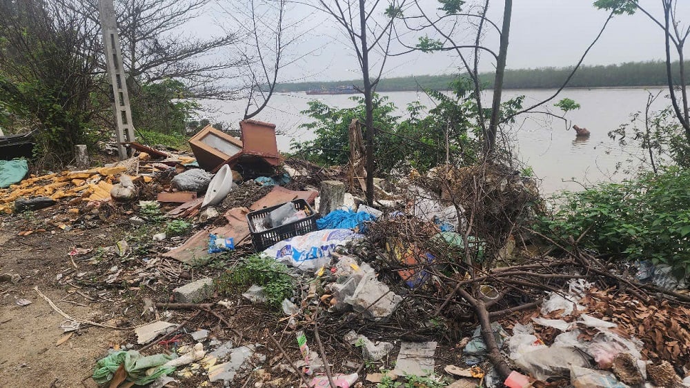 Thùng xốp, cành cây. Ảnh: Tuyết Trang.