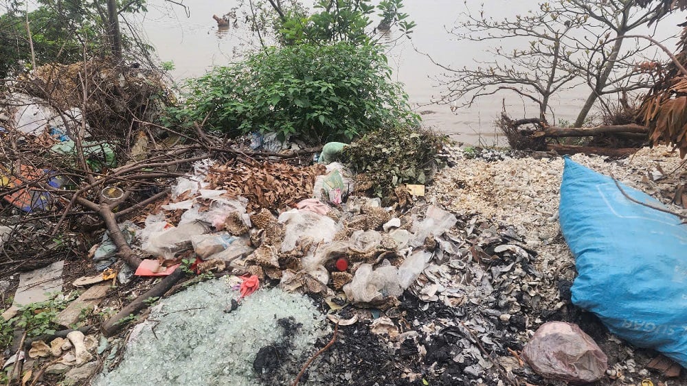 Vỏ hàu, vỏ tôm khô. Ảnh: Tuyết Trang.