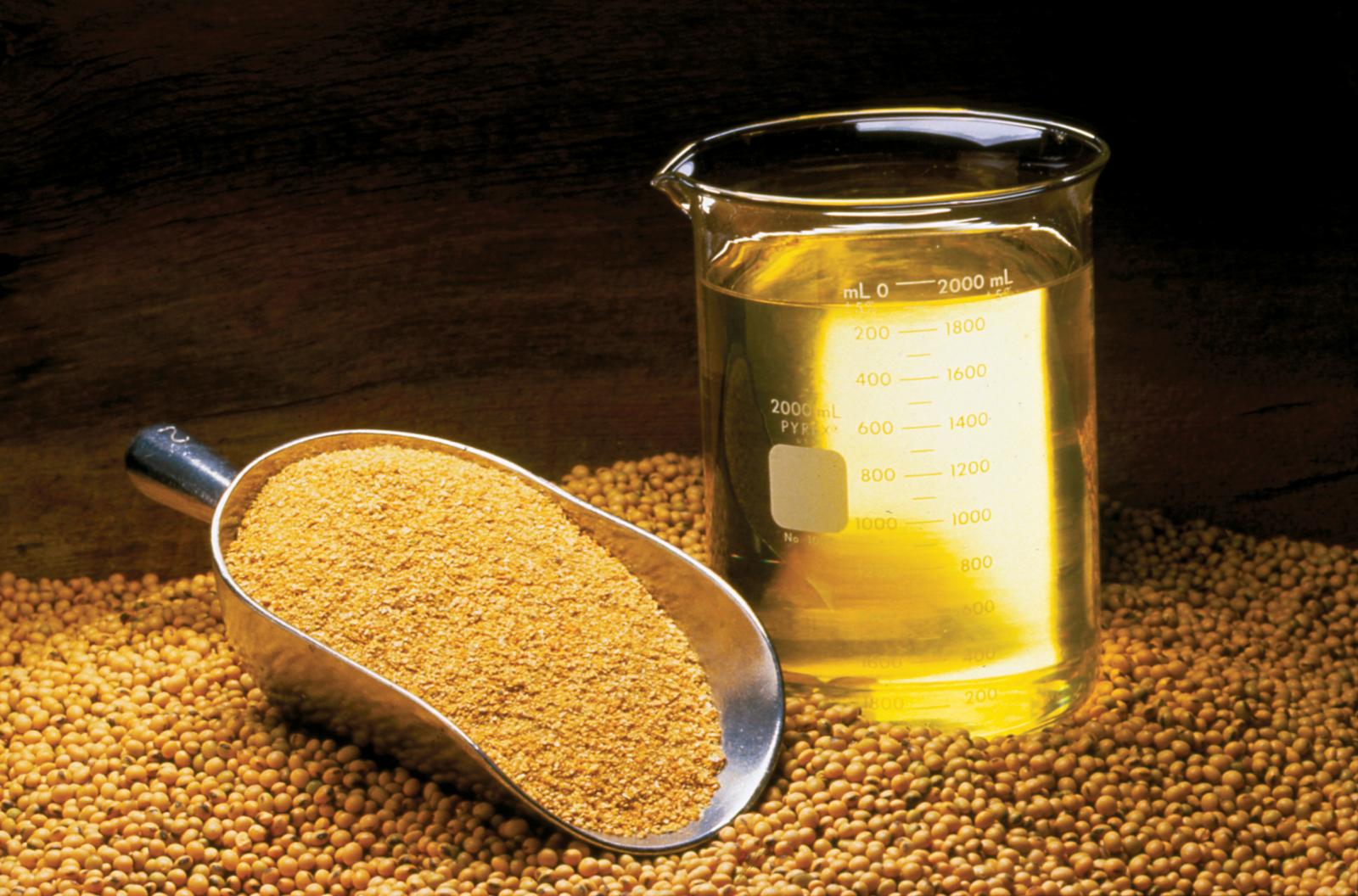 The preferential import tax rate for the item 'soybean oilcake' has been reduced from 1% and 2% to 0%. Photo: Feedipedia.