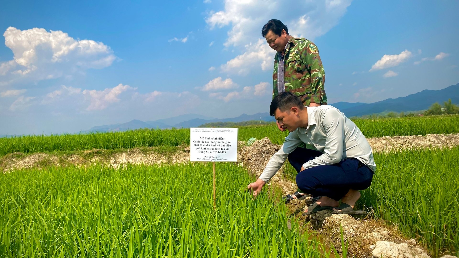 Anh Triệu Tuấn Nghĩa, cán bộ Trung tâm Dịch vụ Nông nghiệp huyện Điện Biên (đang ngồi) cùng cán bộ khuyến nông xã Thanh Xương kiểm tra đồng ruộng. Ảnh: Tú Thành. Anh Triệu Tuấn Nghĩa, cán bộ Trung tâm Dịch vụ Nông nghiệp huyện Điện Biên (đang ngồi) cùng cán bộ khuyến nông xã Thanh Xương kiểm tra đồng ruộng. Ảnh: Tú Thành.