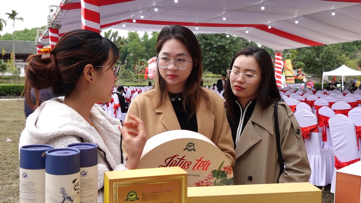 Vùng chè Tân Cương ngày càng chú trọng tới khách hàng trẻ. Ảnh: Quang Linh. 