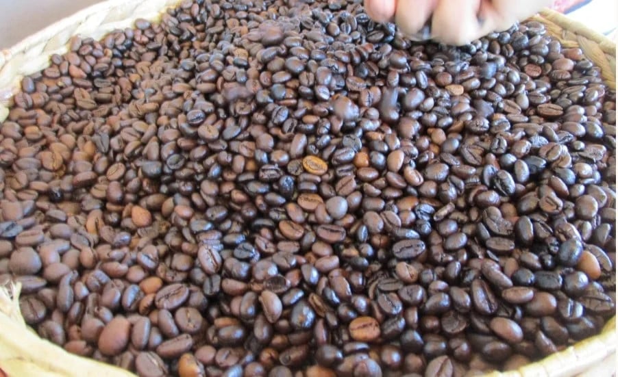 Domestic coffee prices onApril 4, 2025 recorded a slight increase in many areas. Photo: Internet.