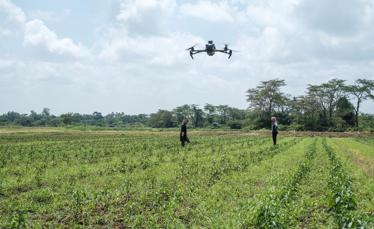 A drone flies as farmers work on a crop field in Tanzania.