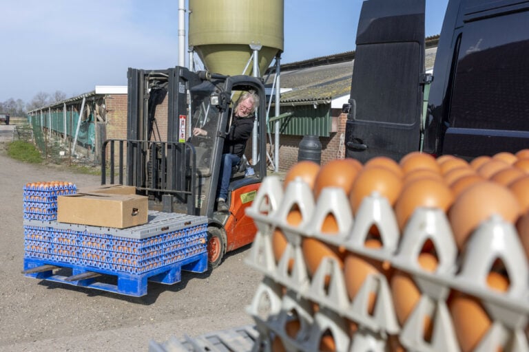 Ukraine is one of the largest egg exporters in Eastern Europe. Photo: Mark Pasveer.