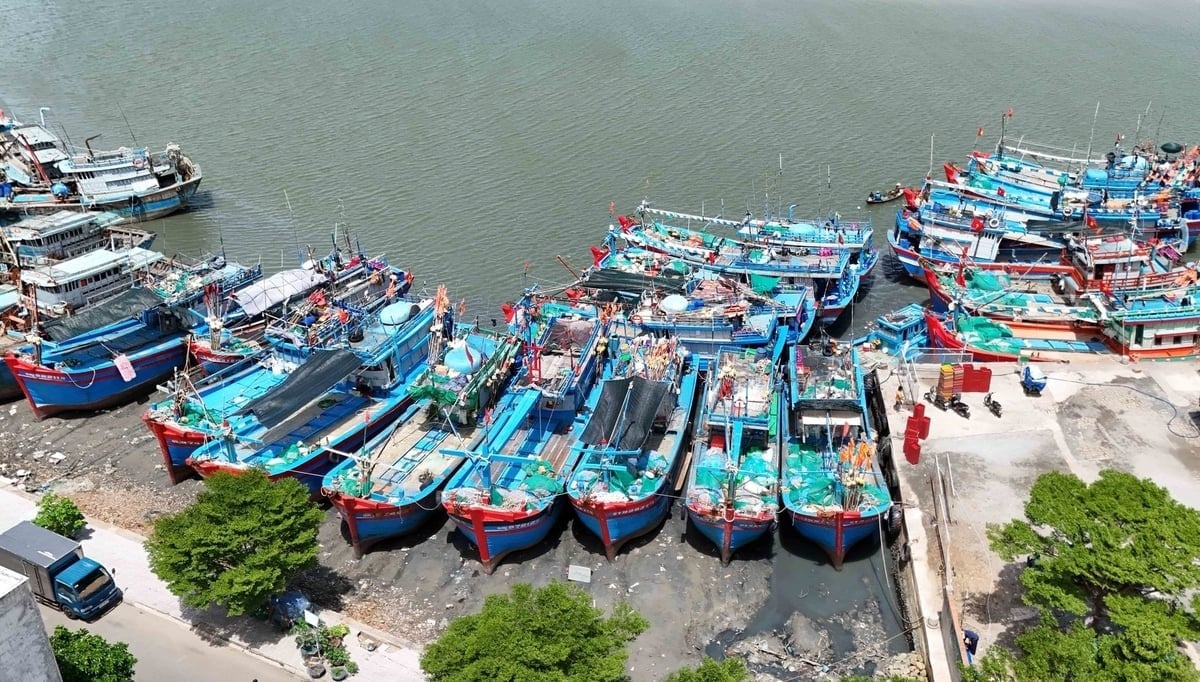 The Chairman of the Ba Ria-Vung Tau Provincial People's Committee directed that 100% of fishing vessels must have enough documents as prescribed to be allowed to set sail. Photo: Le Binh.