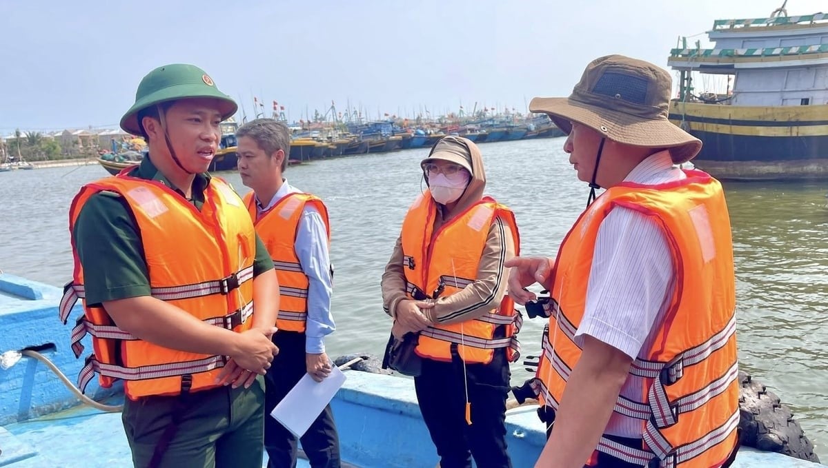 The law enforcement forces, departments, branches, and localities of Ba Ria-Vung Tau regularly inspect the observance of anti-IUU fishing regulations at fishing ports. Photo: Tran Phi.