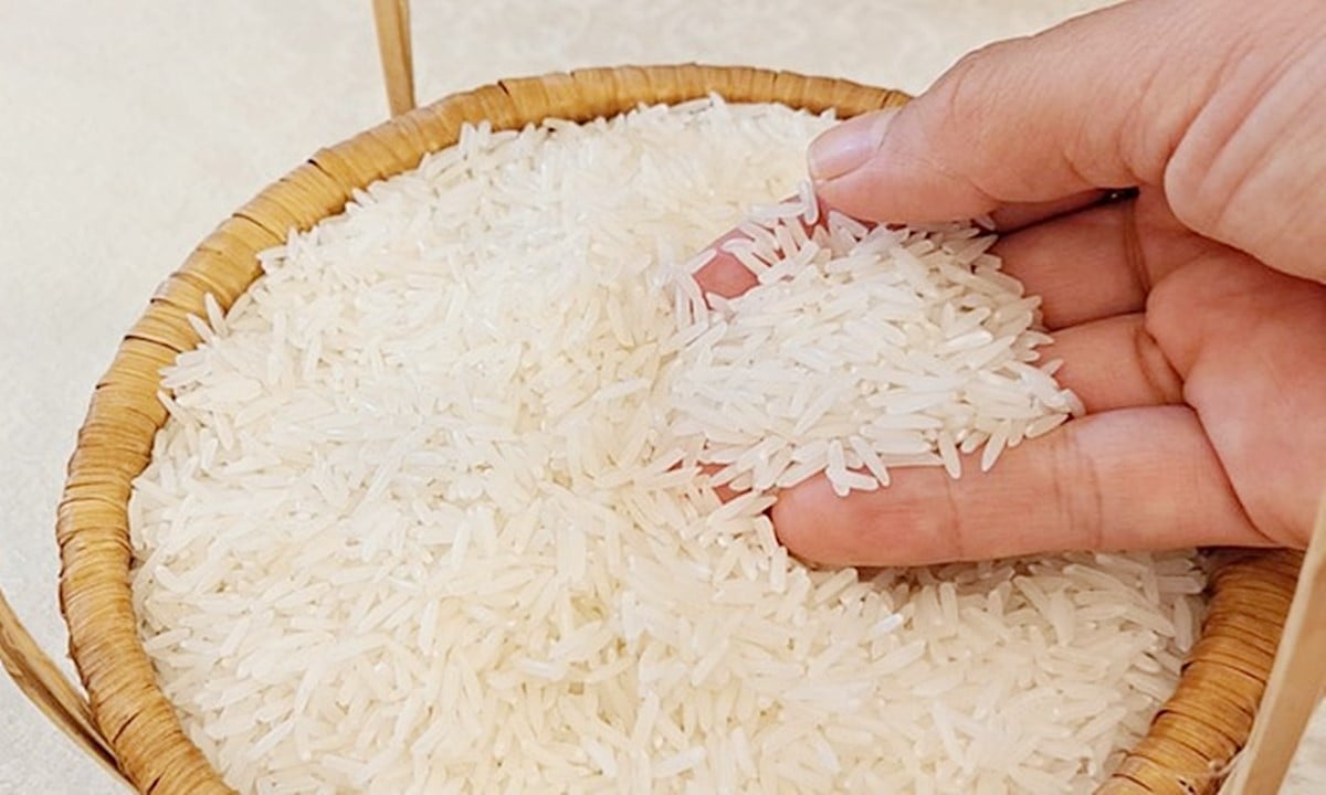 Cập nhật giá lúa gạo mới nhất hôm nay 7/4/2025 Cập nhật giá lúa gạo mới nhất hôm nay 7/4/2025