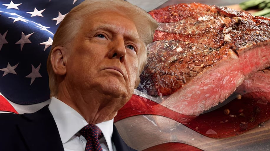 Donald Trump claims Australia has banned US beef, but that is not true. Graphic: ABC Landline.