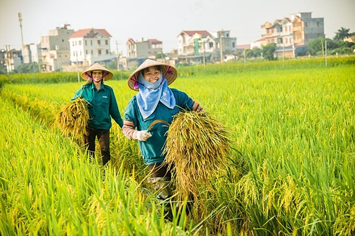 Tổng sản phẩm trên địa bàn (GRDP) quý I/2025 của Hà Nội ước tính tăng 7,35%. Ảnh minh họa. Tổng sản phẩm trên địa bàn (GRDP) quý I/2025 của Hà Nội ước tính tăng 7,35%. Ảnh minh họa.