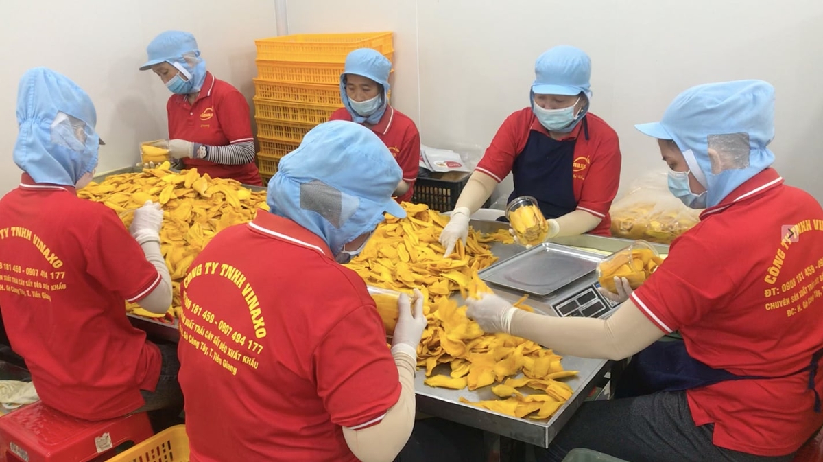 Công nhân làm việc tại Công ty Vinna XO. Ảnh: Minh Đảm. Công nhân làm việc tại Công ty Vinna XO. Ảnh: Minh Đảm.