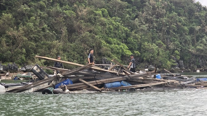 Thiệt hại nghiêm trọng về thủy sản lồng bè tại Quảng Ninh do bão số 3 năm 2024 cho thấy việc bảo hiểm cho sản xuất nông nghiệp là rất cần thiết. Ảnh: Cường Vũ. Thiệt hại nghiêm trọng về thủy sản lồng bè tại Quảng Ninh do bão số 3 năm 2024 cho thấy việc bảo hiểm cho sản xuất nông nghiệp là rất cần thiết. Ảnh: Cường Vũ.