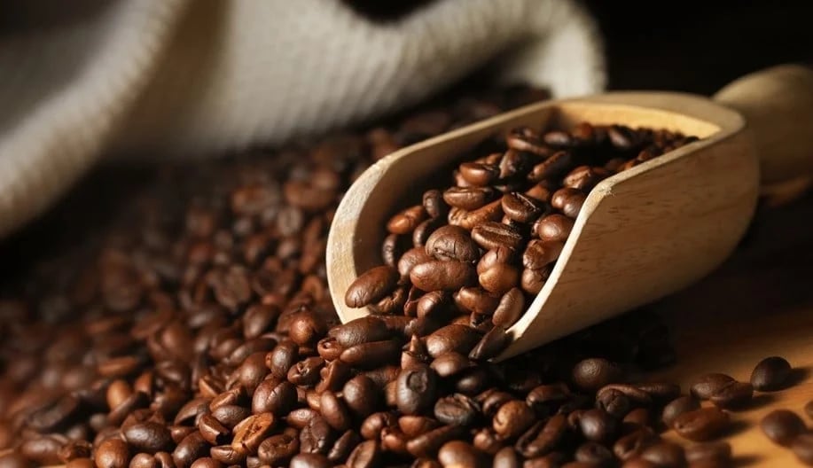Domestic coffee prices on April 11, 2025, recorded a slight increase. Photo: Internet.
