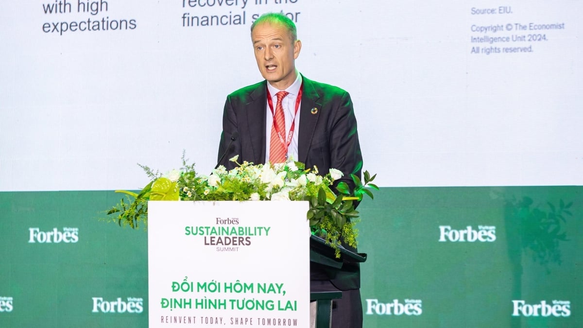 Patrick Haverman, Deputy Resident Representative of UNDP Vietnam, delivering a speech at the conference. Photo: Organizing Committee.