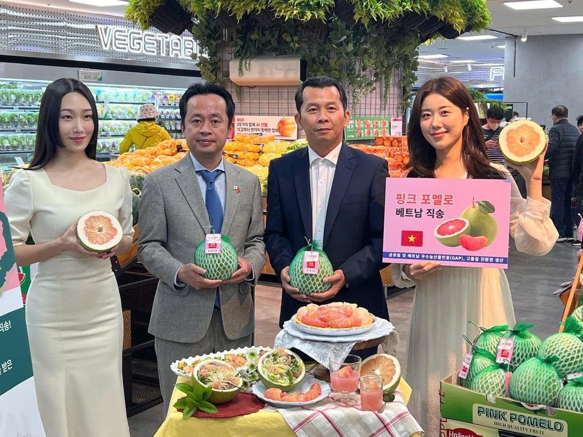 Vietnamese pomelos at Lotte Mart in South Korea.