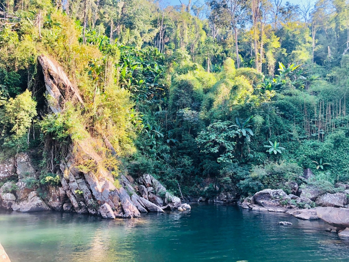 Khu Dự trữ Thiên nhiên Mường Nhé là khu rừng đặc dụng quan trọng của tỉnh Điện Biên. Ảnh: Trần Hương.