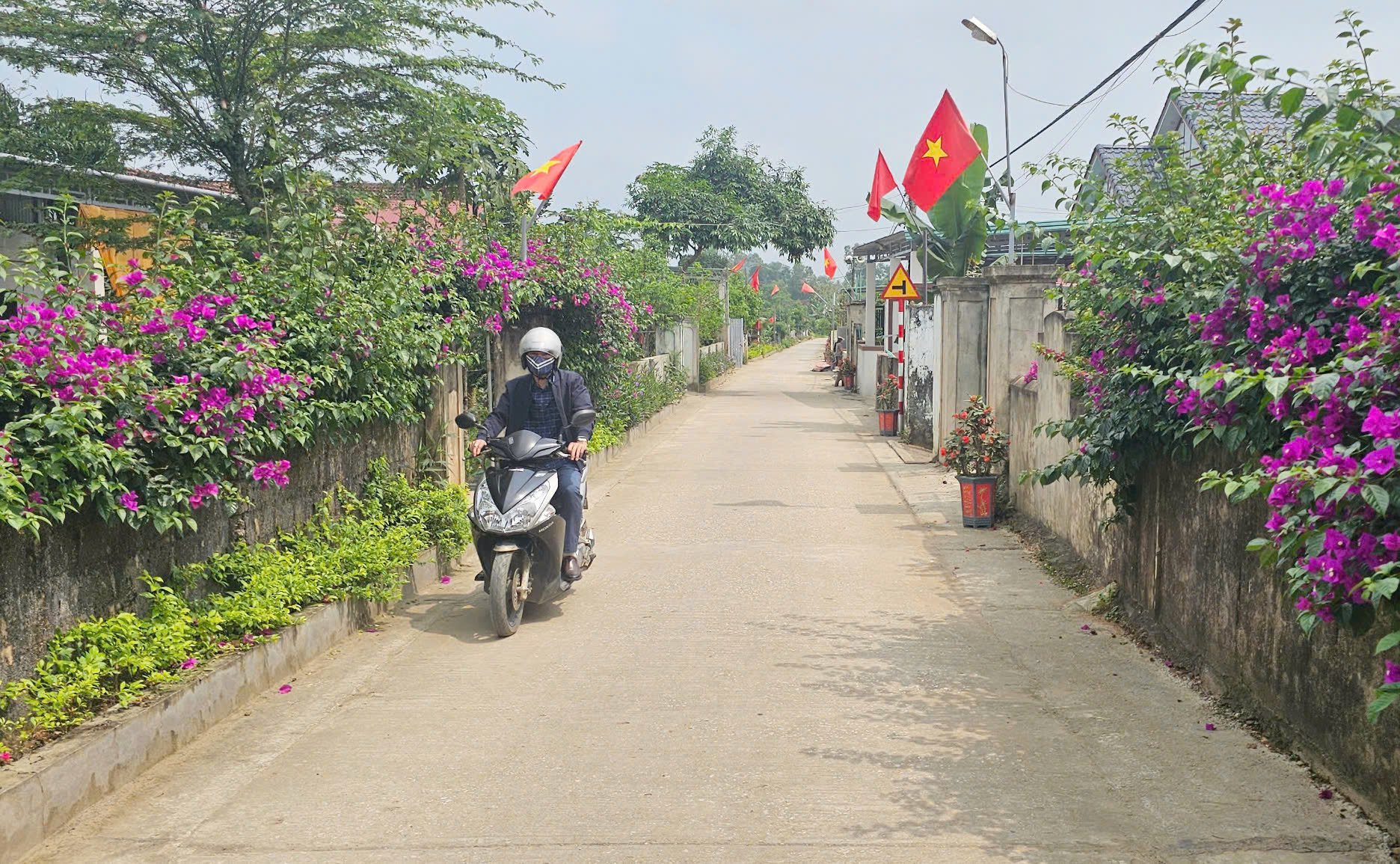 Một tuyến đường liên thôn xanh và sạch ở xã Quảng Tiên. Ảnh: T. Phùng. Một tuyến đường liên thôn xanh và sạch ở xã Quảng Tiên. Ảnh: T. Phùng.