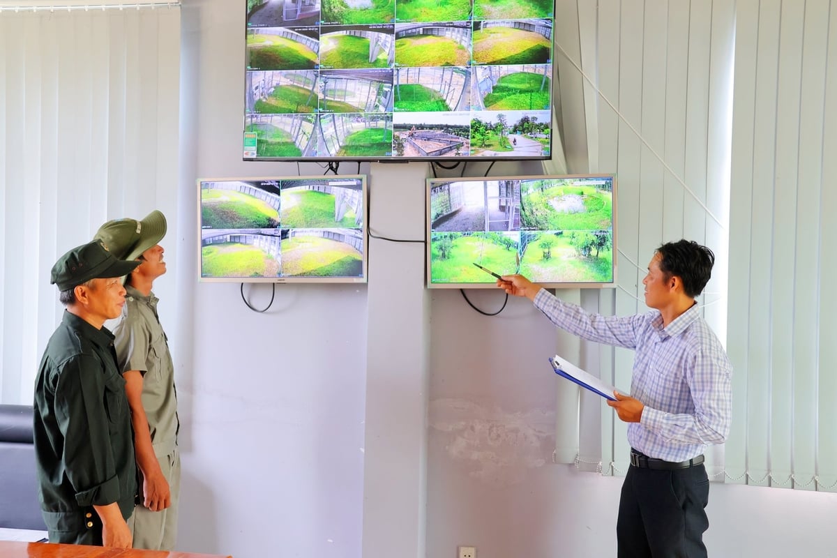 Lắp đặt hệ thống camera theo dõi sếu nuôi trong mô hình bán hoang dã. Ảnh: Lê Hoàng Vũ.