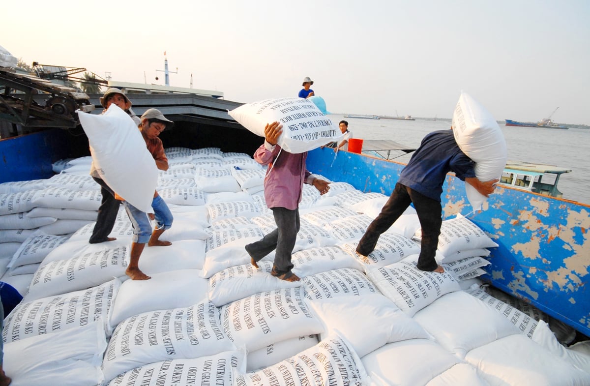 The one-million-hectare high-quality, low-emission rice scheme not only helps restructure the industry toward more modern and consolidated production but also enhances value addition, reduces emissions, and increases farmers’ incomes. Photo: Le Hoang Vu.