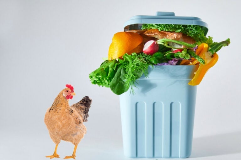 Egypt generates around 65 million tonnes of potentially useful waste per year. Photo: Canva.