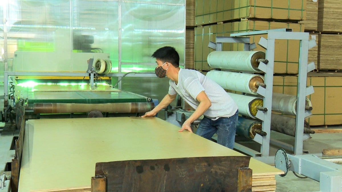 Sản xuất ván gỗ dán và ván sàn xuất khẩu tại Công ty CP Đầu tư Govina. Ảnh: Ngọc Tú.