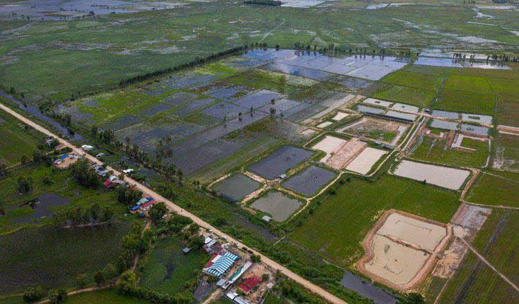 Relevant cooperation between Jiangsu and Cambodia began in May last year.