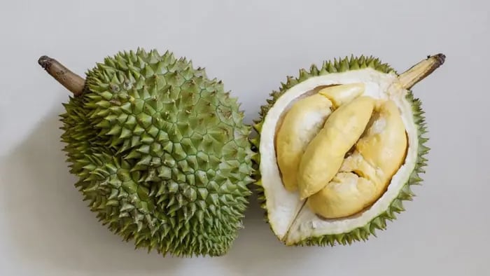 Hiện các vùng trồng sầu riêng tại Lào đang mở rộng nhanh chóng. Ảnh: Thestar.