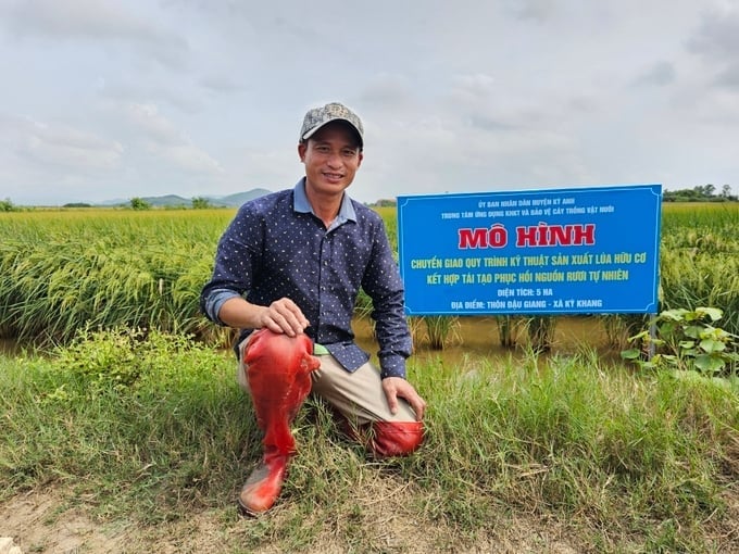 Nông nghiệp hữu cơ đang dần trở thành xu hướng. Ảnh: Hoàng Anh.