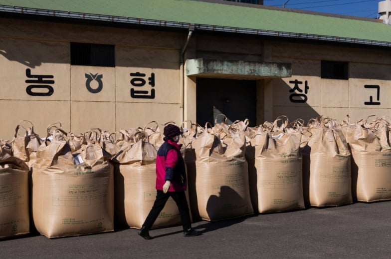 Bags of rice at a warehouse in Pyeongtaek, South Korea. Japan imported South Korean rice for the first time since 1999 this month amid soaring domestic prices for the staple grain. | BLOOMBERG.