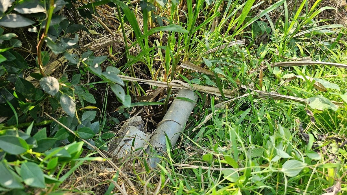 Ống xả từ ruộng cắm xuống sông Mậu Khê, đặt ra nghi vấn xả thải từ trại lợn thông qua hoạt động sản xuất nông nghiệp. Ảnh: QT. Ống xả từ ruộng cắm xuống sông Mậu Khê, đặt ra nghi vấn xả thải từ trại lợn thông qua hoạt động sản xuất nông nghiệp. Ảnh: QT.