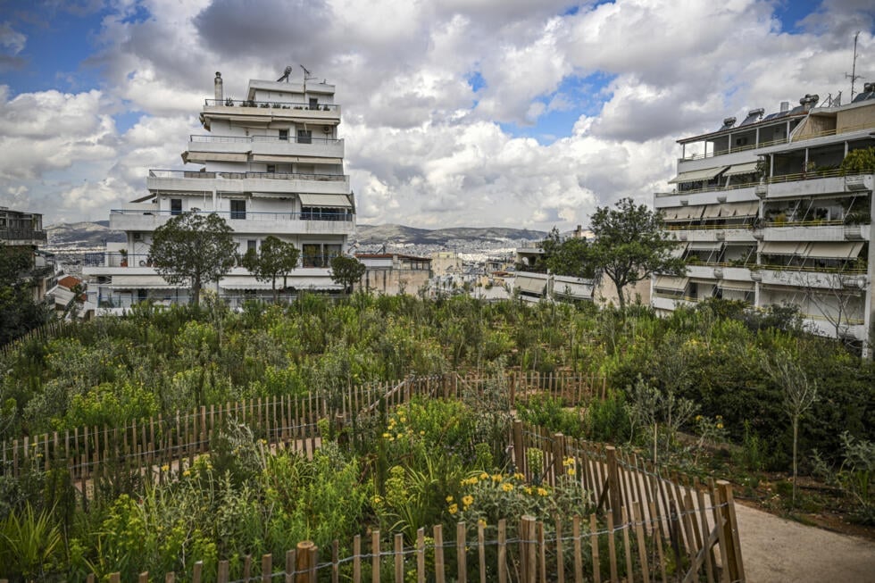 Hàng nghìn cây xanh mới được trồng ở một công viên tại Thủ đô Athens, Hy Lạp. Ảnh: France 24. Hàng nghìn cây xanh mới được trồng ở một công viên tại Thủ đô Athens, Hy Lạp. Ảnh: France 24.