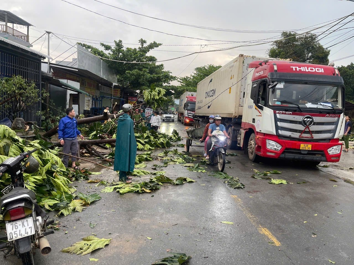 Các lực lượng tổ chức dọn dẹp cây cối ngã đổ. Ảnh: Văn Hà. Các lực lượng tổ chức dọn dẹp cây cối ngã đổ. Ảnh: Văn Hà.
