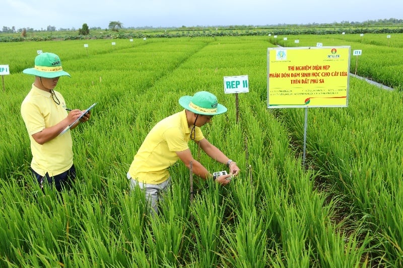 Nhà máy Đạm Cà Mau liên tục nghiên cứu, thử nghiệm để sản xuất các loại phân bón chất lượng cao, phù hợp với nhiều loại thổ nhưỡng của đất nước. Ảnh: PetroTimes. Nhà máy Đạm Cà Mau liên tục nghiên cứu, thử nghiệm để sản xuất các loại phân bón chất lượng cao, phù hợp với nhiều loại thổ nhưỡng của đất nước. Ảnh: PetroTimes.