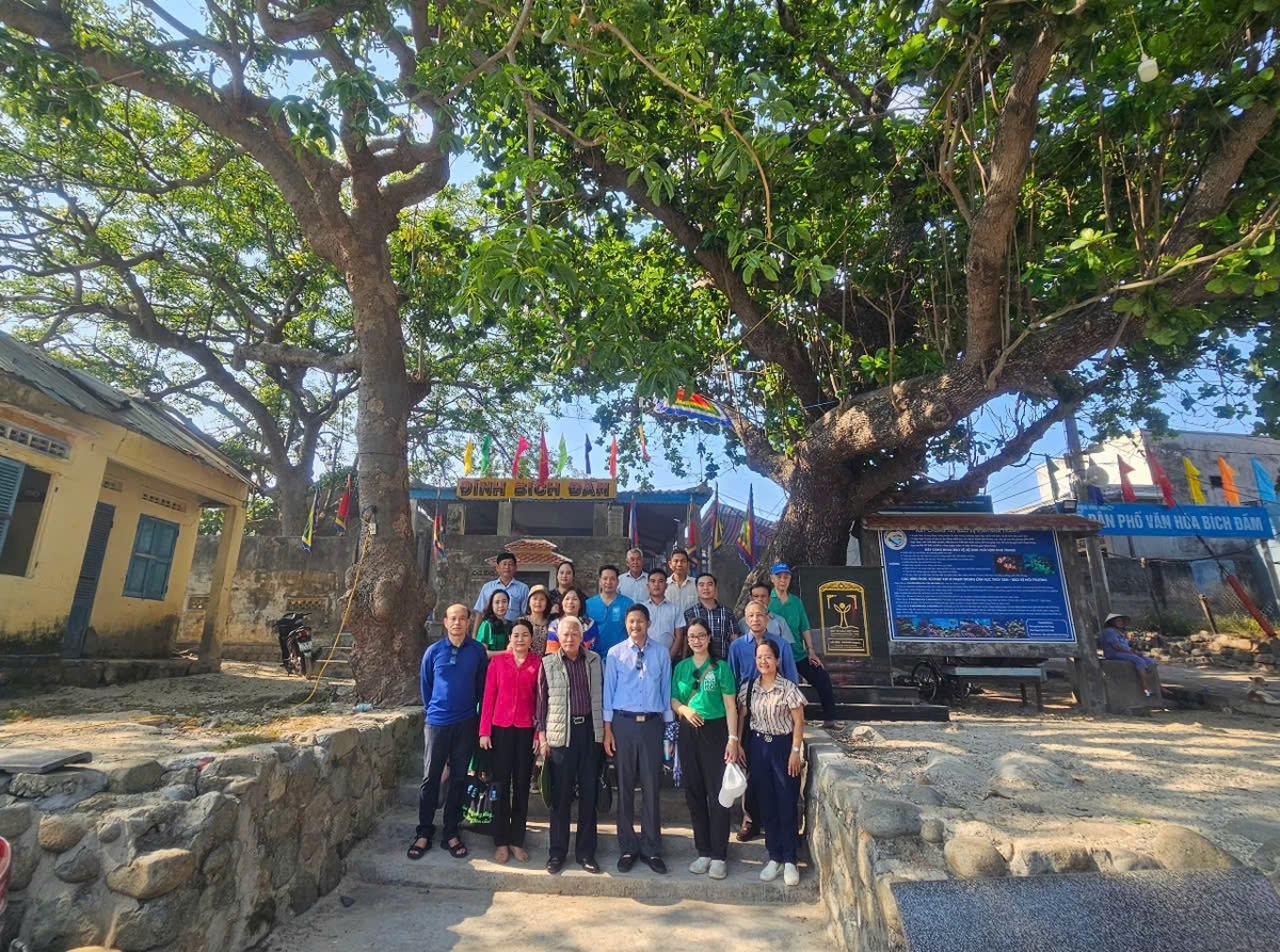 A working group from the United Nations Development Program visits the historical site of Bich Dam communal house and the banyan tree recognized as a heritage tree.