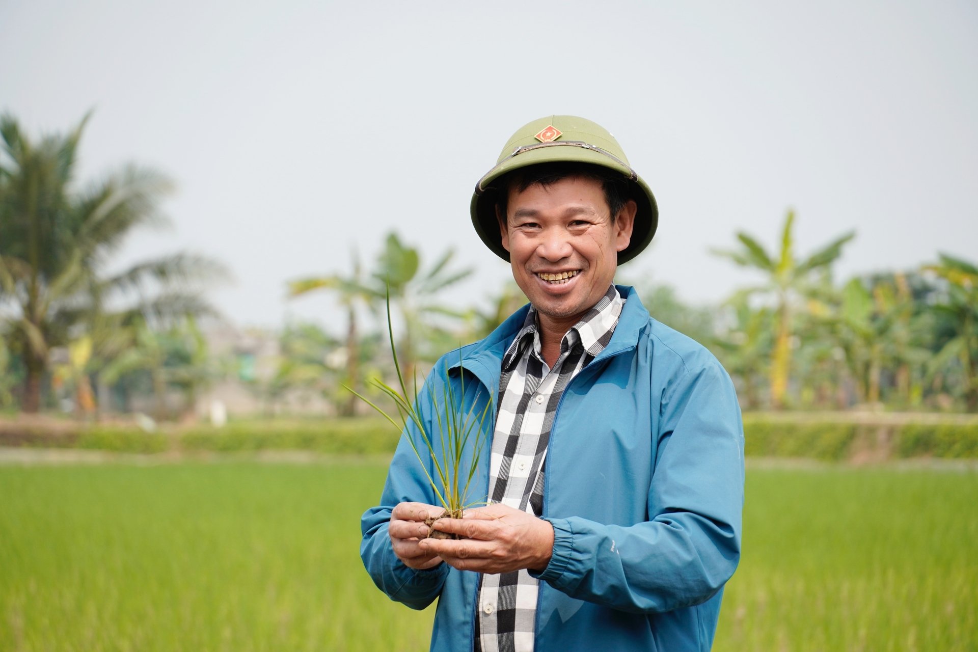 Ông Phạm Xuân Luận, Giám đốc Hợp tác xã Dịch vụ Nông nghiệp An Thanh say sưa nói về cây lúa và sự trở lại nhanh chóng của con rươi khi bà con chuyển sang canh tác hữu cơ. Ảnh: Hồng Thắm. Ông Phạm Xuân Luận, Giám đốc Hợp tác xã Dịch vụ Nông nghiệp An Thanh say sưa nói về cây lúa và sự trở lại nhanh chóng của con rươi khi bà con chuyển sang canh tác hữu cơ. Ảnh: Hồng Thắm.