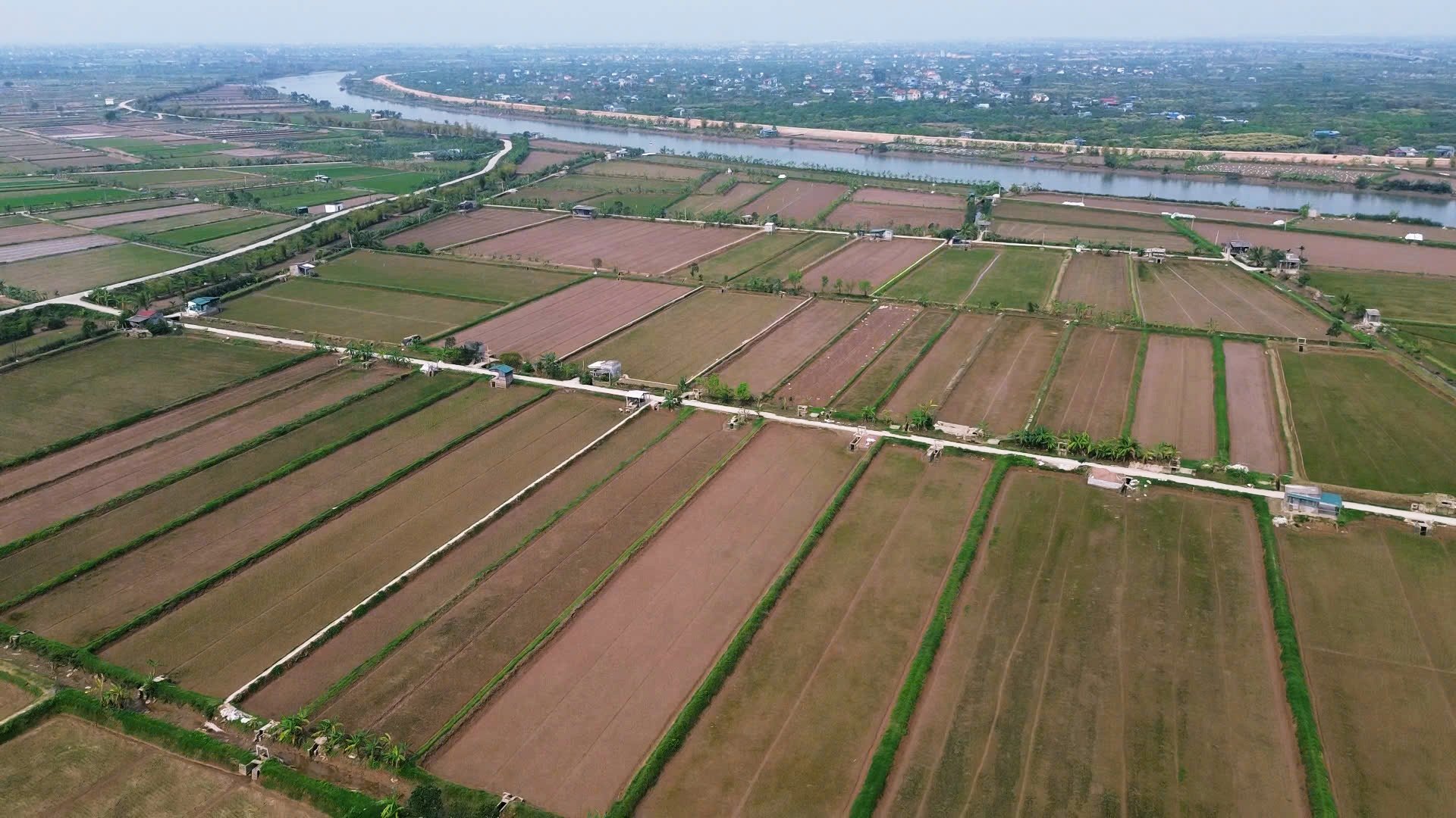 Nhìn từ trên cao, một phần trong tổng diện tích 137 ha diện tích sản xuất lúa - rươi - cáy của Hợp tác xã Dịch vụ Nông nghiệp An Thanh đã đạt chứng nhận tiêu chuẩn hữu cơ Việt Nam. Ảnh: Duy Học. Nhìn từ trên cao, một phần trong tổng diện tích 137 ha diện tích sản xuất lúa - rươi - cáy của Hợp tác xã Dịch vụ Nông nghiệp An Thanh đã đạt chứng nhận tiêu chuẩn hữu cơ Việt Nam. Ảnh: Duy Học.