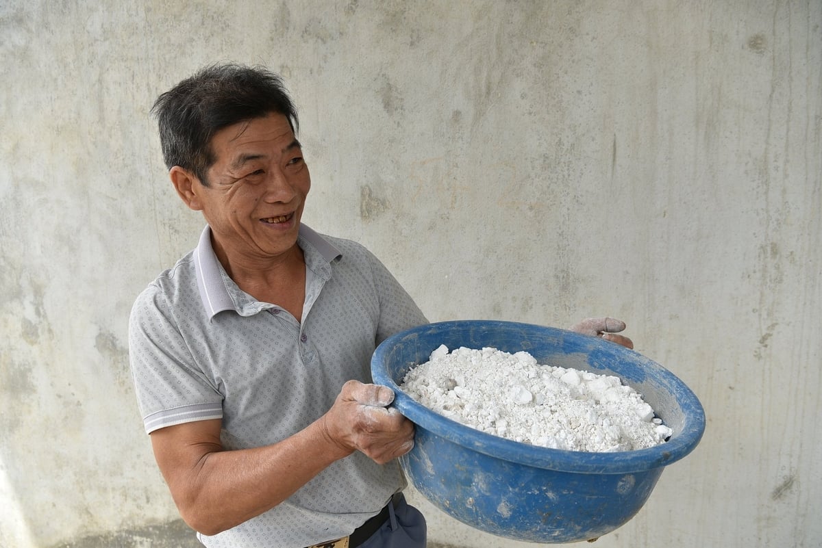 Ông Đinh Văn Dự - Tổ trưởng tổ khuyến nông xã Thắng Sơn bên chậu vôi dùng để diệt ốc bươu vàng. Ảnh: Dương Đình Tường. Ông Đinh Văn Dự - Tổ trưởng tổ khuyến nông xã Thắng Sơn bên chậu vôi dùng để diệt ốc bươu vàng. Ảnh: Dương Đình Tường.