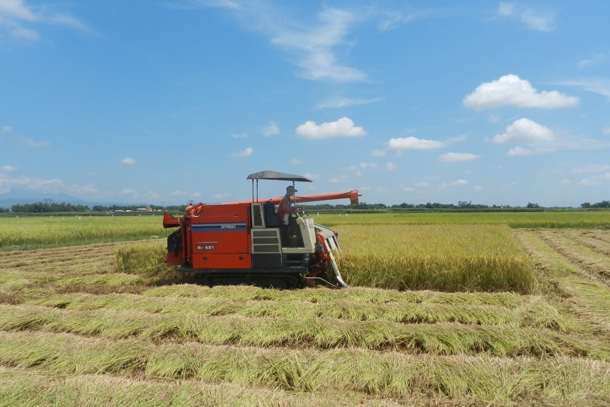 Kinh tế nông nghiệp ở Điện Quang phát triển mạnh, thu nhập người dân tăng cao, cuộc sống ngày càng no ấm. Ảnh: L.K. Kinh tế nông nghiệp ở Điện Quang phát triển mạnh, thu nhập người dân tăng cao, cuộc sống ngày càng no ấm. Ảnh: L.K.