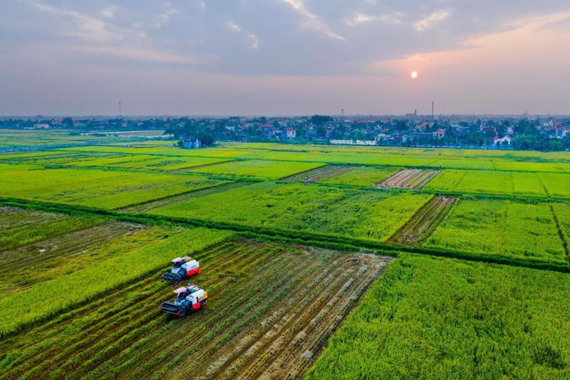 Hải Phòng sẽ mở rộng chính sách hỗ trợ phát triển nông nghiệp, thuỷ sản hàng hoá. Ảnh: minh họa. Hải Phòng sẽ mở rộng chính sách hỗ trợ phát triển nông nghiệp, thuỷ sản hàng hoá. Ảnh: minh họa.