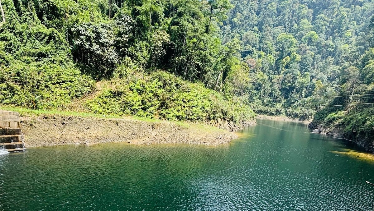 Một góc Khu Bảo tồn thiên nhiên Hoàng Liên Văn Bàn tại xã Nậm Xây (huyện Văn Bàn, Lào Cai). Ảnh: H.Đ. Một góc Khu Bảo tồn thiên nhiên Hoàng Liên Văn Bàn tại xã Nậm Xây (huyện Văn Bàn, Lào Cai). Ảnh: H.Đ.