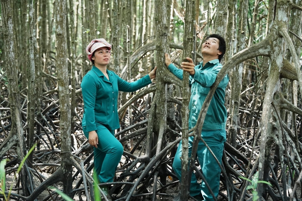 Vợ chồng Oanh trong khoảnh rừng được giao khoán. Ảnh: Phúc Lập. Vợ chồng Oanh trong khoảnh rừng được giao khoán. Ảnh: Phúc Lập.