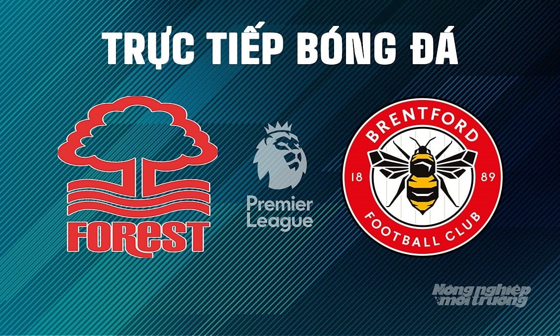 Trực tiếp bóng đá Ngoại hạng Anh giữa Nottingham Forest vs Brentford hôm nay 2/5/2025 Trực tiếp bóng đá Ngoại hạng Anh giữa Nottingham Forest vs Brentford hôm nay 2/5/2025