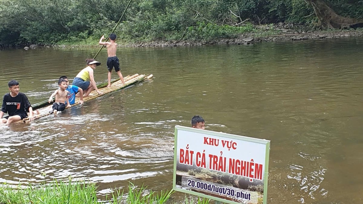 Trải nghiệm bắt cá suối tại xã Diêm Lãm, huyện Quỳ Châu. Ảnh: Đình Tiệp. Trải nghiệm bắt cá suối tại xã Diêm Lãm, huyện Quỳ Châu. Ảnh: Đình Tiệp.