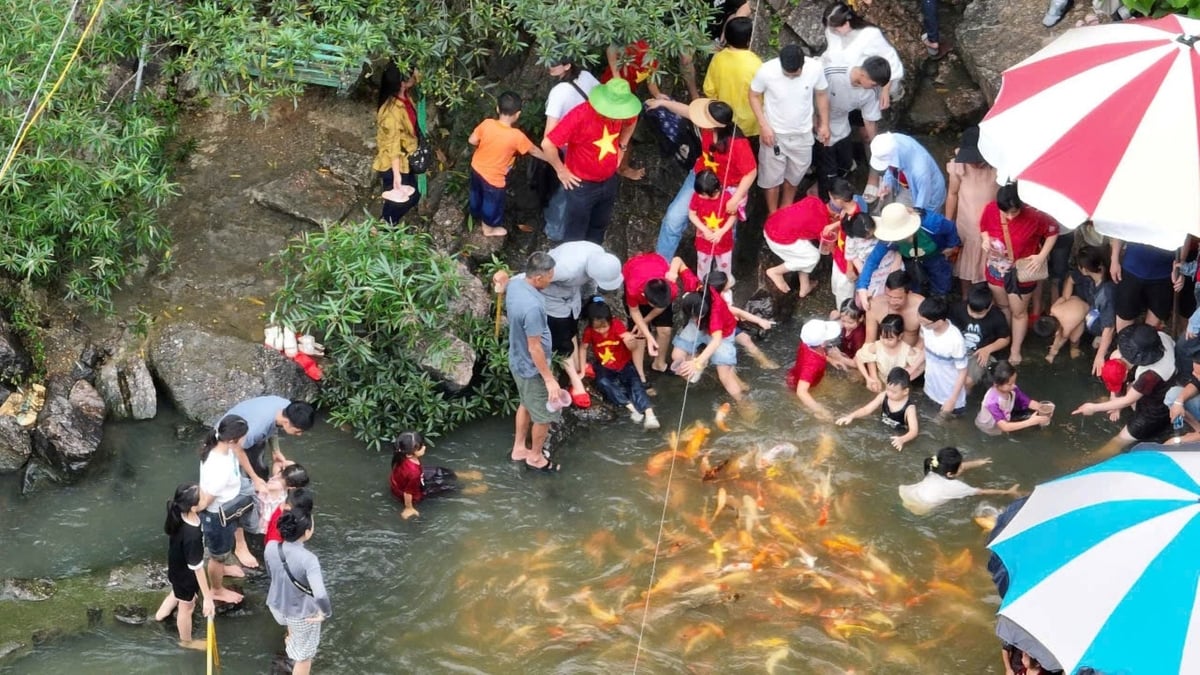 Du khách vui chơi tại điểm du lịch suối cá vàng Khe Tọ. Ảnh: Đình Tiệp. Du khách vui chơi tại điểm du lịch suối cá vàng Khe Tọ. Ảnh: Đình Tiệp.