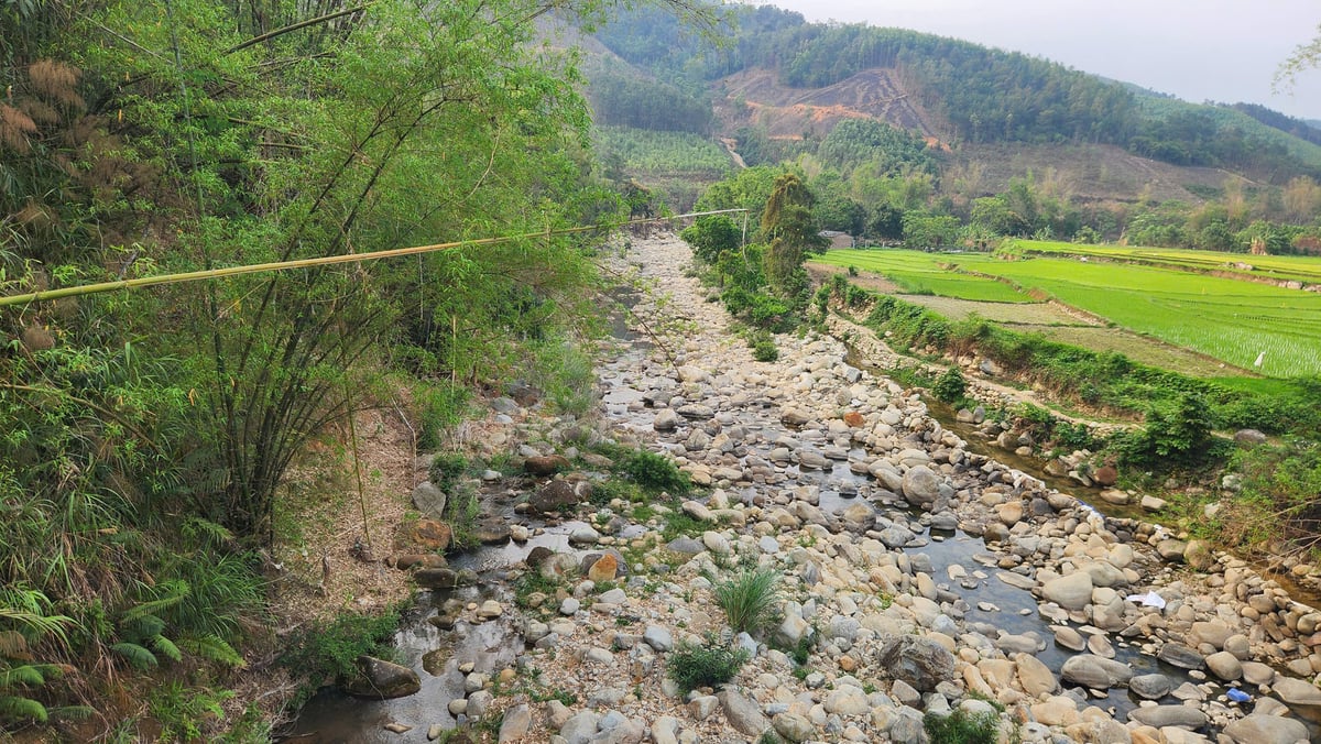 Nhiều con suối tại Bình Liêu trong tình trạng cạn trơ đáy. Ảnh: Nguyễn Thành. Nhiều con suối tại Bình Liêu trong tình trạng cạn trơ đáy. Ảnh: Nguyễn Thành.