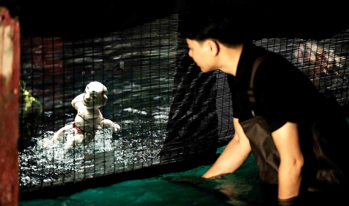 Phía sau tấm rèm che, dưới làn nước mờ ảo không phải là những con người tìm kiếm hào quang mà họ chính là những nghệ sĩ thầm lặng, tận tụy với nghề. Ảnh: Minh Sáng. Phía sau tấm rèm che, dưới làn nước mờ ảo không phải là những con người tìm kiếm hào quang mà họ chính là những nghệ sĩ thầm lặng, tận tụy với nghề. Ảnh: Minh Sáng.