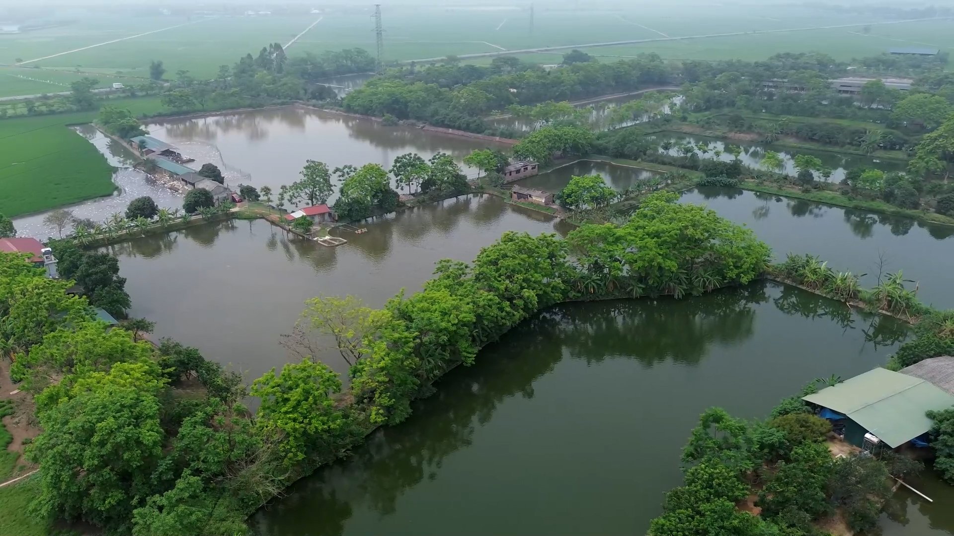 Trang trại nuôi cá của anh Phạm Văn Trường ở thị trấn Tam Hồng, huyện Yên Lạc, Vĩnh Phúc nhìn từ trên cao. Ảnh: Quang Dũng. Trang trại nuôi cá của anh Phạm Văn Trường ở thị trấn Tam Hồng, huyện Yên Lạc, Vĩnh Phúc nhìn từ trên cao. Ảnh: Quang Dũng.