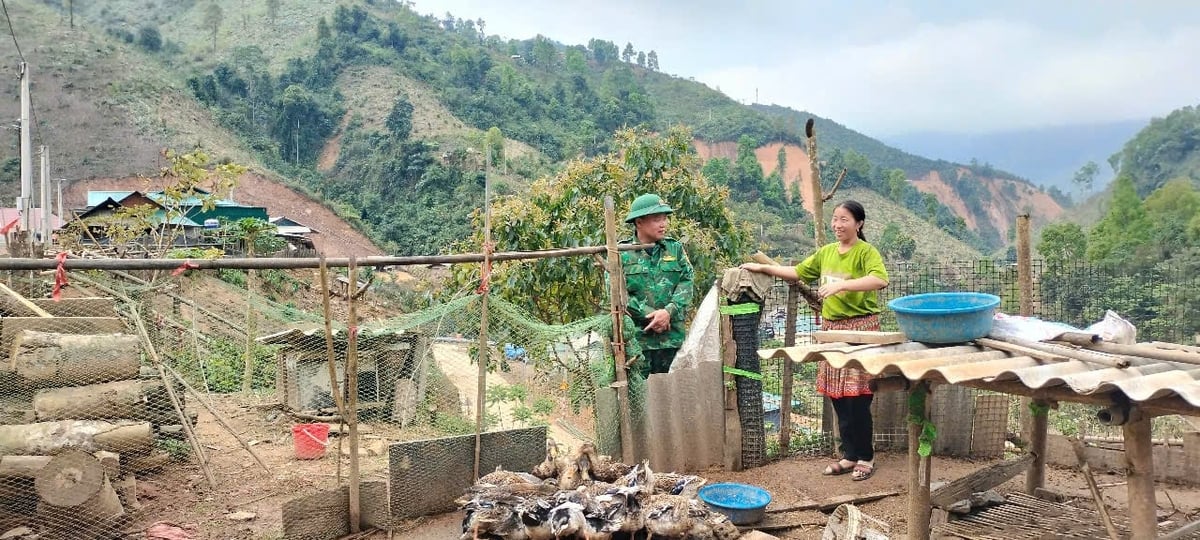 Chị Vàng Thị Xua phấn khởi khi đàn vịt đã lớn, ăn khỏe. Ảnh: Thanh Tâm. Chị Vàng Thị Xua phấn khởi khi đàn vịt đã lớn, ăn khỏe. Ảnh: Thanh Tâm.
