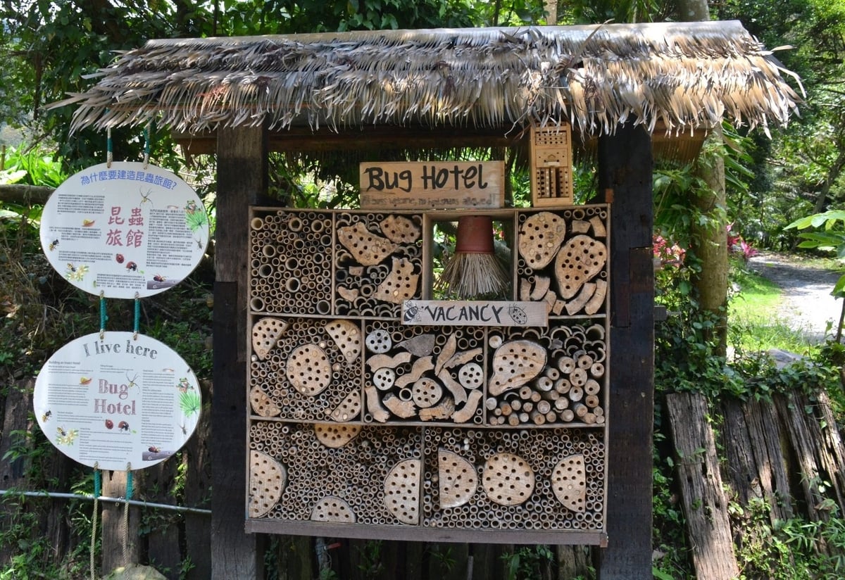 Hình ảnh 'khách sạn' côn trùng ở nông trại Đầu Thành (Nghi Lan, Đài Loan). Hình ảnh 'khách sạn' côn trùng ở nông trại Đầu Thành (Nghi Lan, Đài Loan).